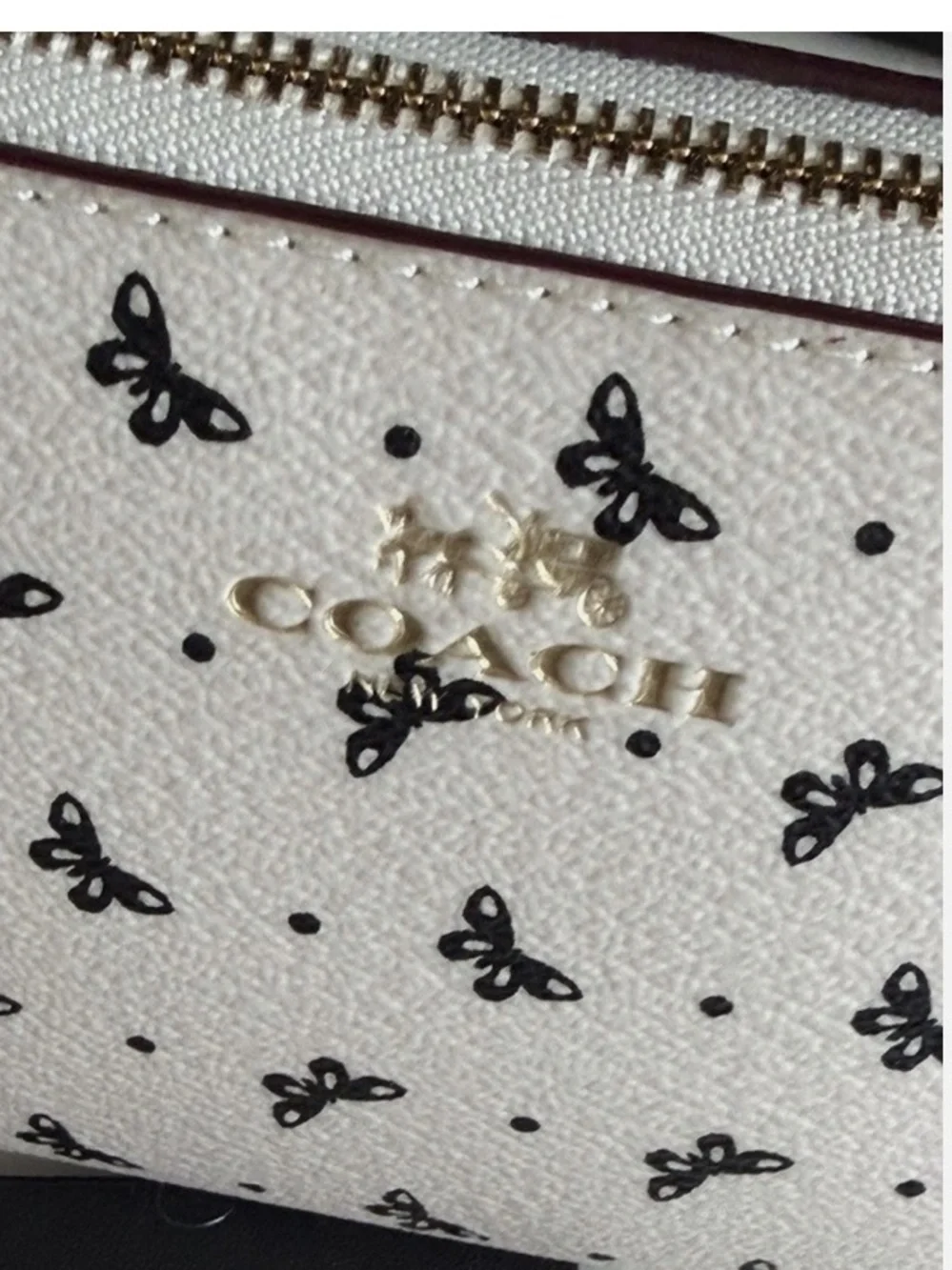 Coach new chalk